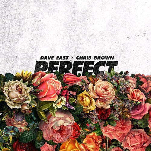 دانلود آهنگ جدید Chris Brown بنام Perfect