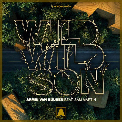 دانلود آهنگ جدید Armin van Buuren و Sam Martin بنام Wild Wild Son